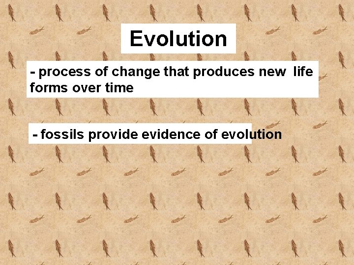 Evolution - process of change that produces new life forms over time - fossils