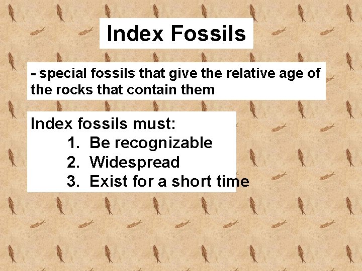 Index Fossils - special fossils that give the relative age of the rocks that