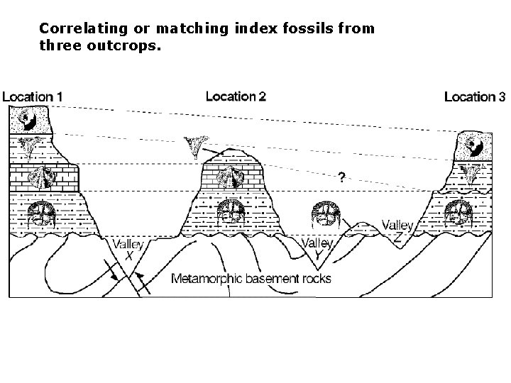 Correlating or matching index fossils from three outcrops. 