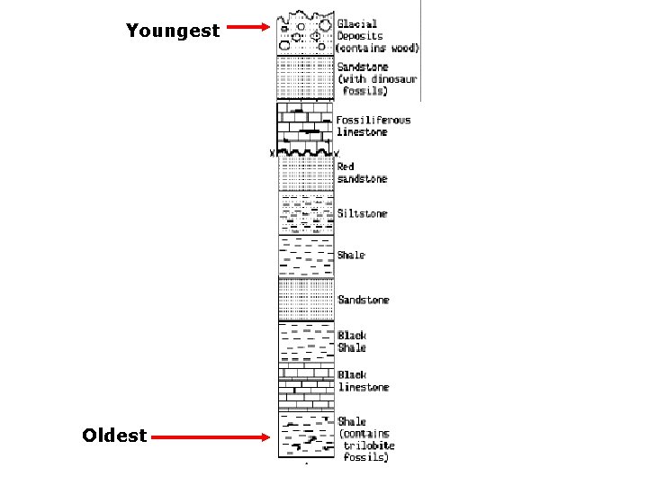 Youngest Oldest 
