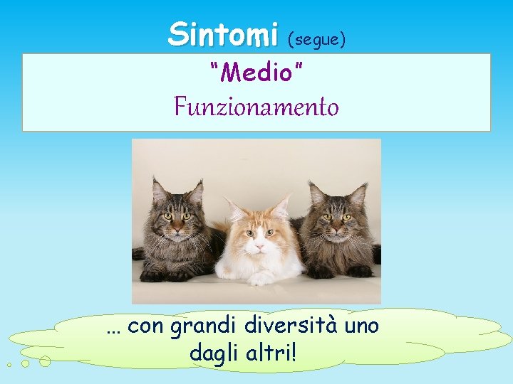 Sintomi (segue) “Medio” Funzionamento … con grandi diversità uno dagli altri! 