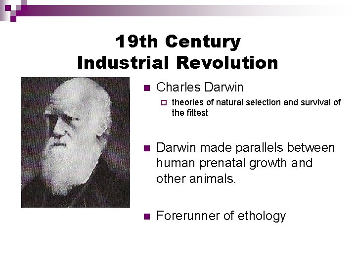 19 th Century Industrial Revolution n Charles Darwin ¨ theories of natural selection and