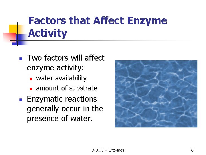 Factors that Affect Enzyme Activity n Two factors will affect enzyme activity: n n