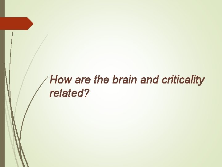 How are the brain and criticality related? 