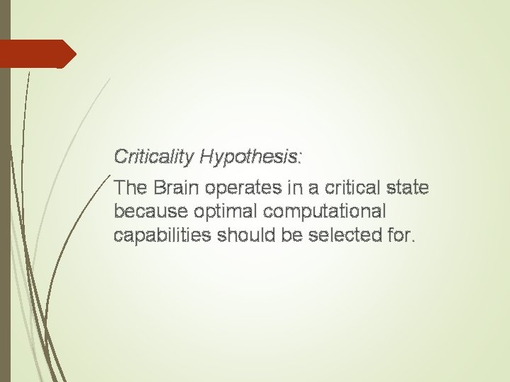 Criticality Hypothesis: The Brain operates in a critical state because optimal computational capabilities should