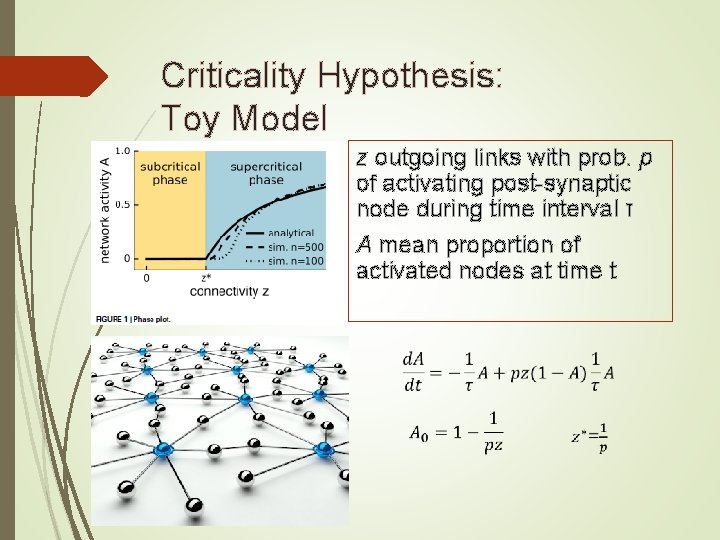 Criticality Hypothesis: Toy Model z outgoing links with prob. p of activating post-synaptic node