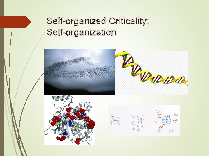Self-organized Criticality: Self-organization 