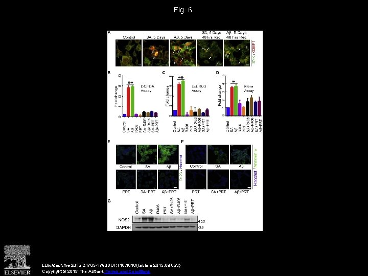 Fig. 6 EBio. Medicine 2015 21785 -1798 DOI: (10. 1016/j. ebiom. 2015. 09. 053)