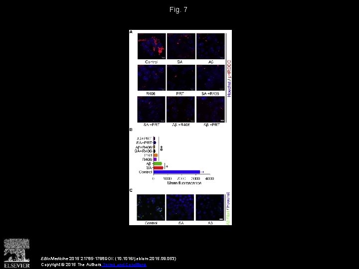 Fig. 7 EBio. Medicine 2015 21785 -1798 DOI: (10. 1016/j. ebiom. 2015. 09. 053)