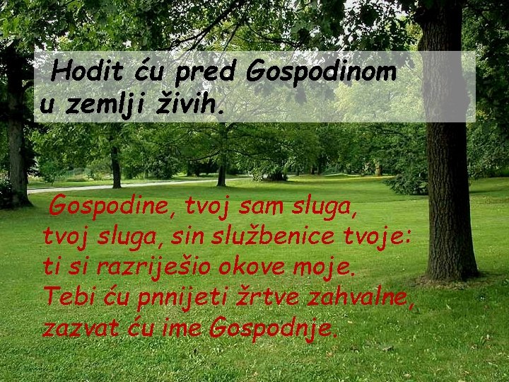 Hodit ću pred Gospodinom u zemlji živih. Gospodine, tvoj sam sluga, tvoj sluga, sin