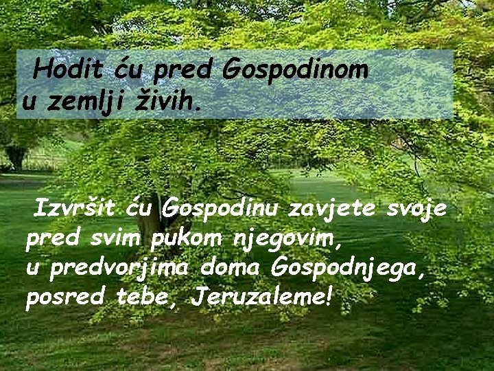 Hodit ću pred Gospodinom u zemlji živih. Izvršit ću Gospodinu zavjete svoje pred svim