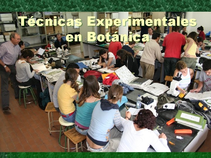 Técnicas Experimentales en Botánica 