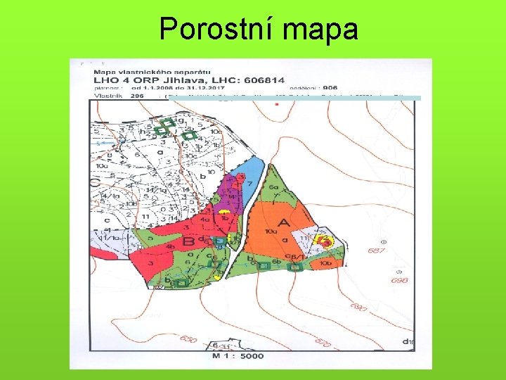 Porostní mapa 