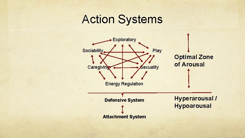 Action Systems Exploratory Sociability Play Caregiving Sexuality Optimal Zone of Arousal Energy Regulation Defensive