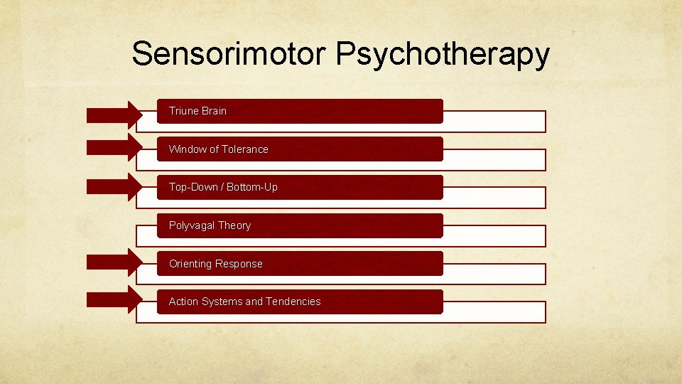 Sensorimotor Psychotherapy Triune Brain Window of Tolerance Top-Down / Bottom-Up Polyvagal Theory Orienting Response