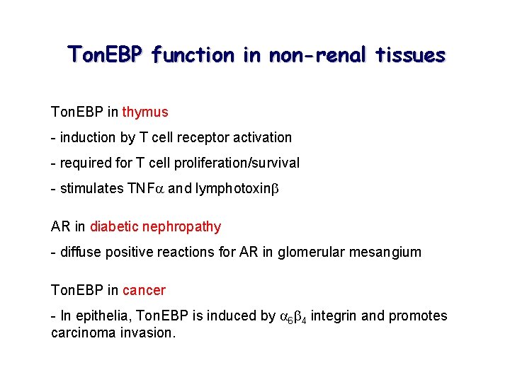 Ton. EBP function in non-renal tissues Ton. EBP in thymus - induction by T