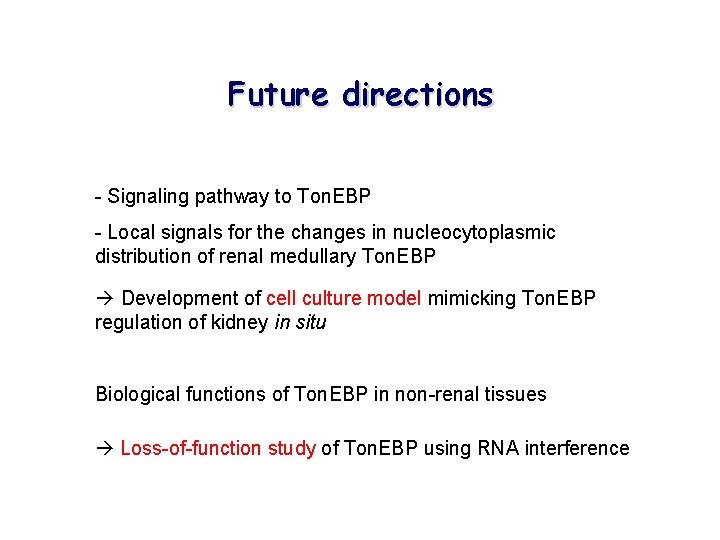 Future directions - Signaling pathway to Ton. EBP - Local signals for the changes