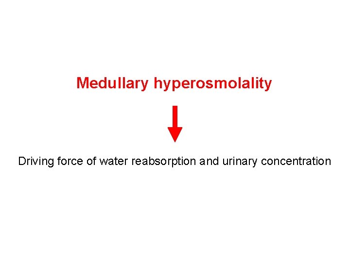 Medullary hyperosmolality Driving force of water reabsorption and urinary concentration 