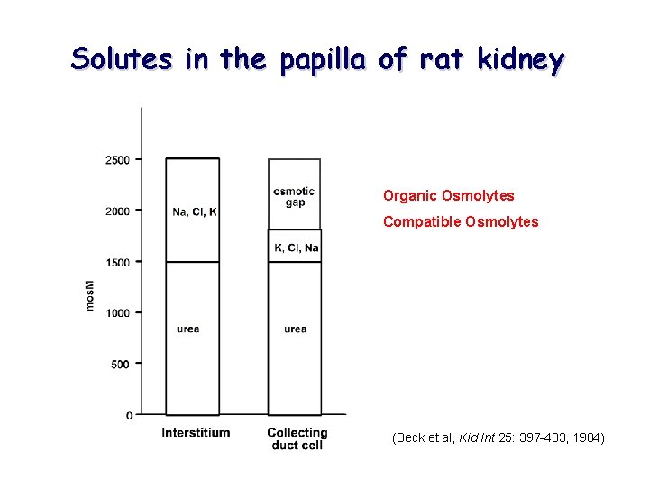 Solutes in the papilla of rat kidney Organic Osmolytes Compatible Osmolytes (Beck et al,
