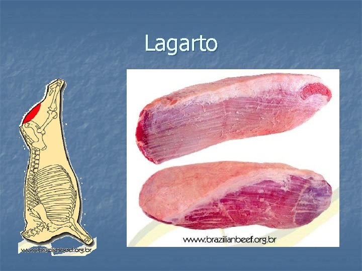 Lagarto 