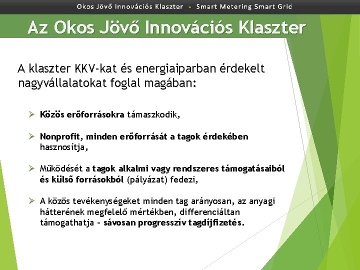 Az Okos Jövő Innovációs Klaszter A klaszter KKV-kat és energiaiparban érdekelt nagyvállalatokat foglal magában: