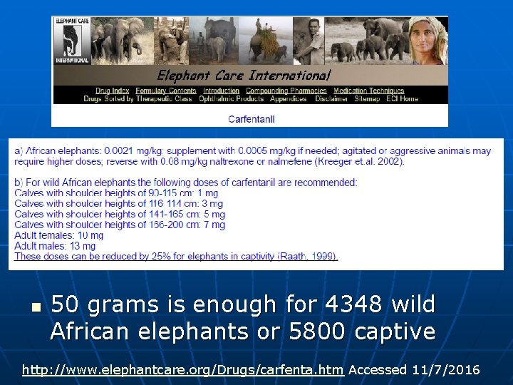 n 50 grams is enough for 4348 wild African elephants or 5800 captive http: