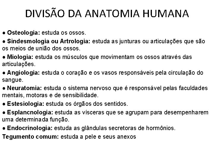 DIVISÃO DA ANATOMIA HUMANA ● Osteologia: estuda os ossos. ● Sindesmologia ou Artrologia: estuda