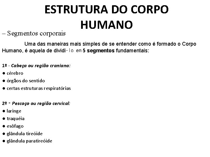 ESTRUTURA DO CORPO HUMANO – Segmentos corporais Uma das maneiras mais simples de se