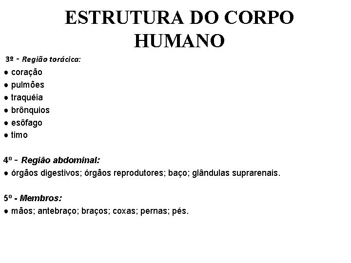 ESTRUTURA DO CORPO HUMANO 3º ‑ Região torácica: ● coração ● pulmões ● traquéia