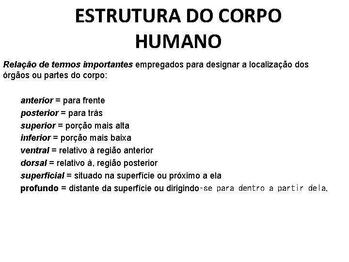 ESTRUTURA DO CORPO HUMANO Relação de termos importantes empregados para designar a localização dos