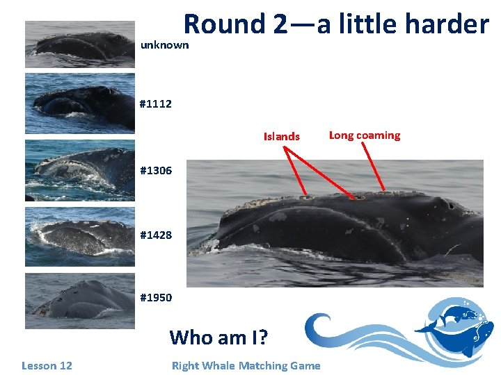 Round 2—a little harder unknown #1112 Islands #1306 #1428 #1950 Who am I? Lesson Round 2—a little harder unknown #1112 Islands #1306 #1428 #1950 Who am I? Lesson