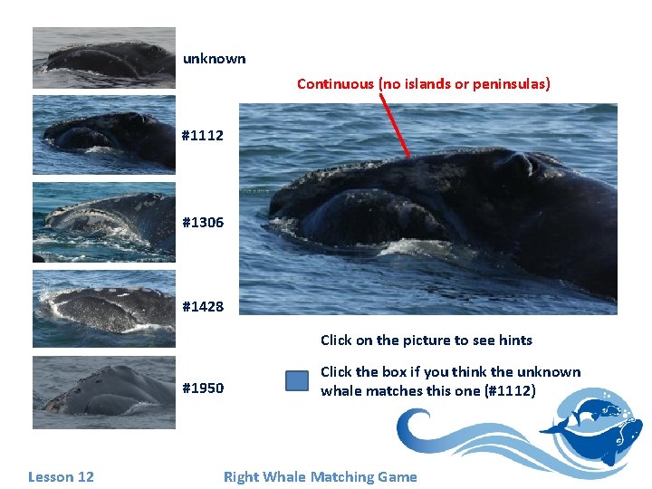 unknown Continuous (no islands or peninsulas) #1112 #1306 #1428 Click on the picture to unknown Continuous (no islands or peninsulas) #1112 #1306 #1428 Click on the picture to