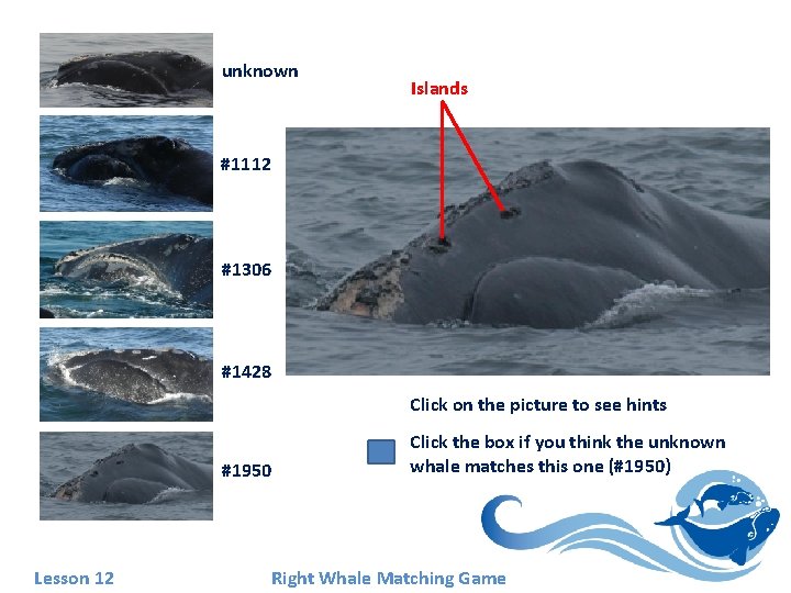 unknown Islands #1112 #1306 #1428 Click on the picture to see hints #1950 Lesson unknown Islands #1112 #1306 #1428 Click on the picture to see hints #1950 Lesson