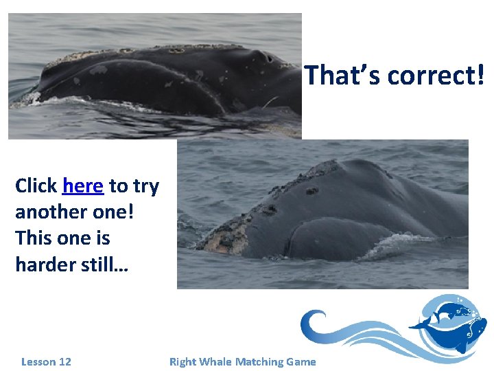 That’s correct! Click here to try another one! This one is harder still… Lesson That’s correct! Click here to try another one! This one is harder still… Lesson