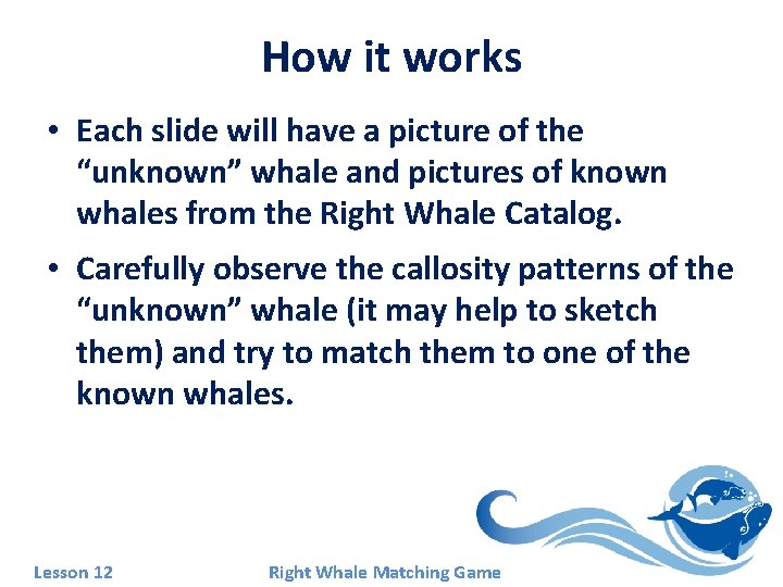 How it works • Each slide will have a picture of the “unknown” whale How it works • Each slide will have a picture of the “unknown” whale