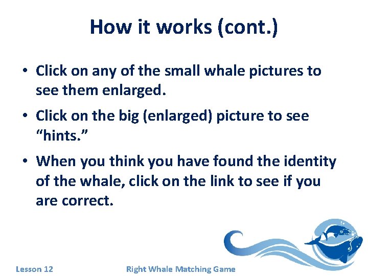 How it works (cont. ) • Click on any of the small whale pictures How it works (cont. ) • Click on any of the small whale pictures