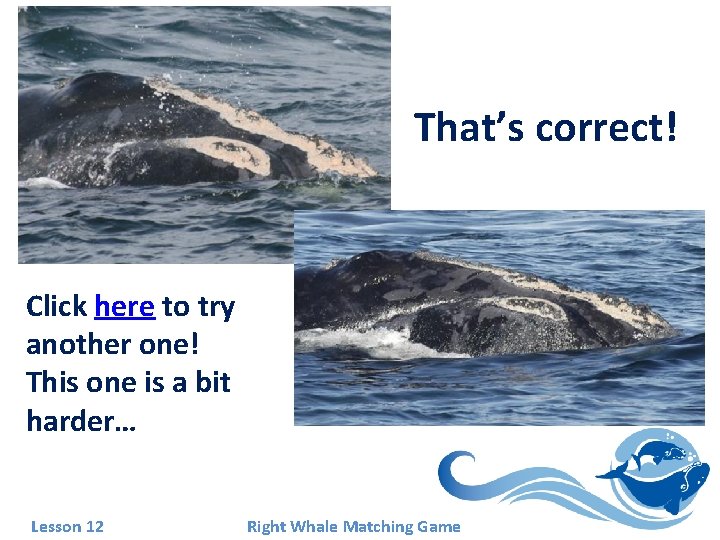 That’s correct! Click here to try another one! This one is a bit harder… That’s correct! Click here to try another one! This one is a bit harder…