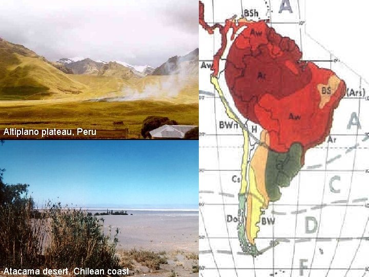 Altiplano plateau, Peru Atacama desert, Chilean coast 
