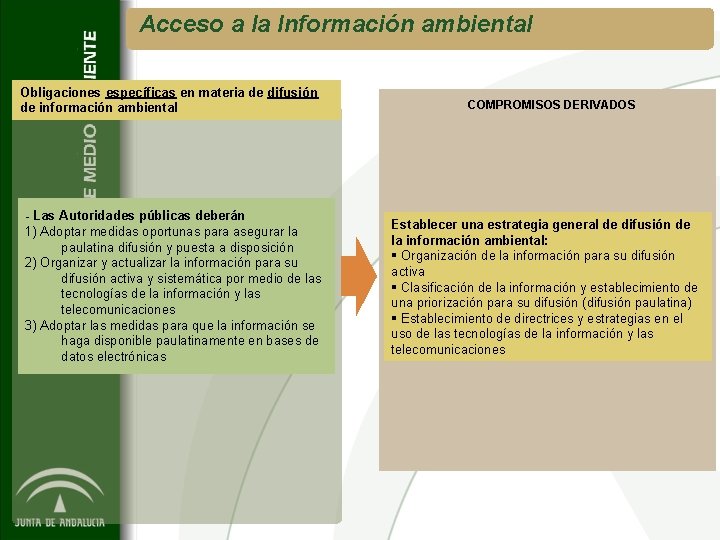 Acceso a la Información ambiental Obligaciones específicas en materia de difusión de información ambiental