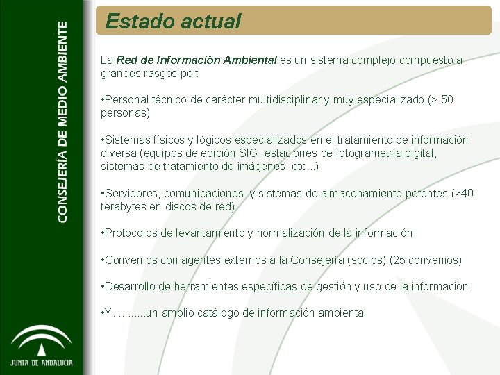 Estado actual La Red de Información Ambiental es un sistema complejo compuesto a grandes