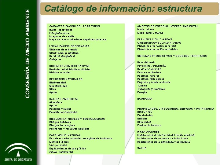 Catálogo de información: estructura CARACTERIZACION DEL TERRITORIO Bases topográficas Fotografía aérea Imágenes de satélite