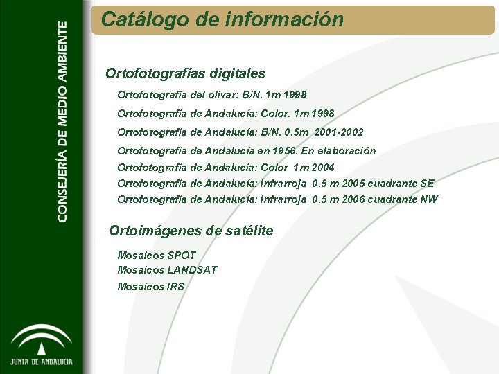 Catálogo de información Ortofotografías digitales Ortofotografía del olivar: B/N. 1 m 1998 Ortofotografía de