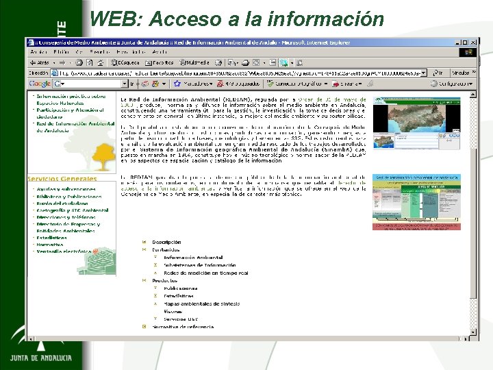 WEB: Acceso a la información 