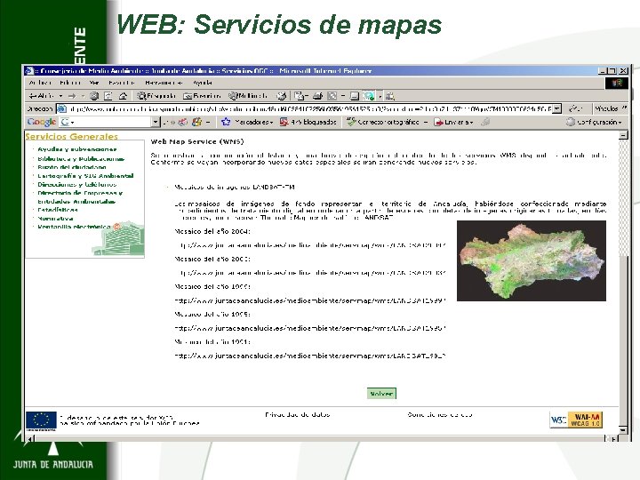 WEB: Servicios de mapas 