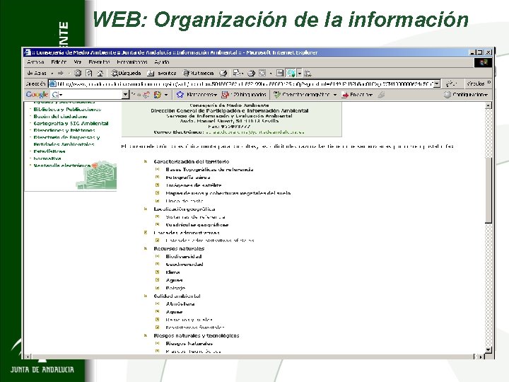 WEB: Organización de la información 