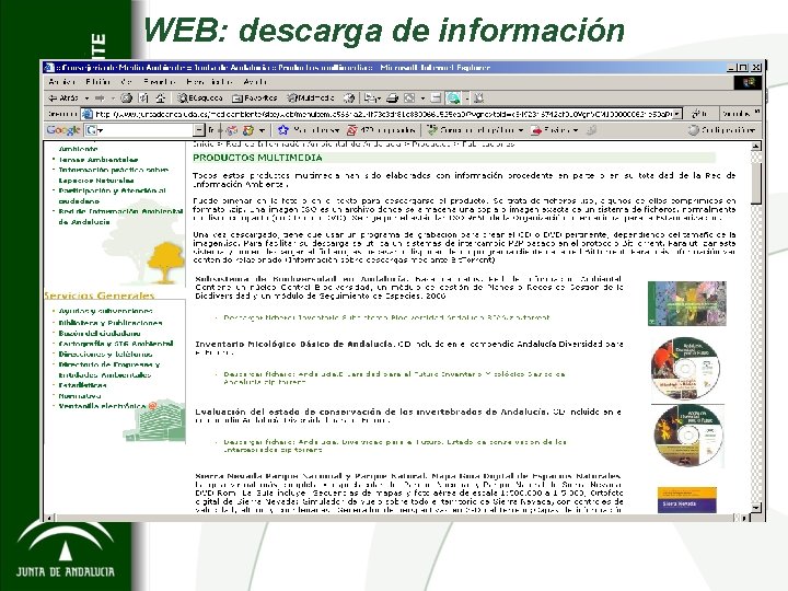 WEB: descarga de información 