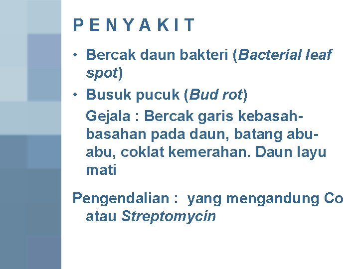 PENYAKIT • Bercak daun bakteri (Bacterial leaf spot) • Busuk pucuk (Bud rot) Gejala