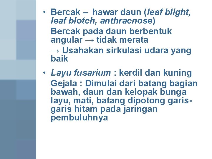 • Bercak – hawar daun (leaf blight, leaf blotch, anthracnose) Bercak pada daun