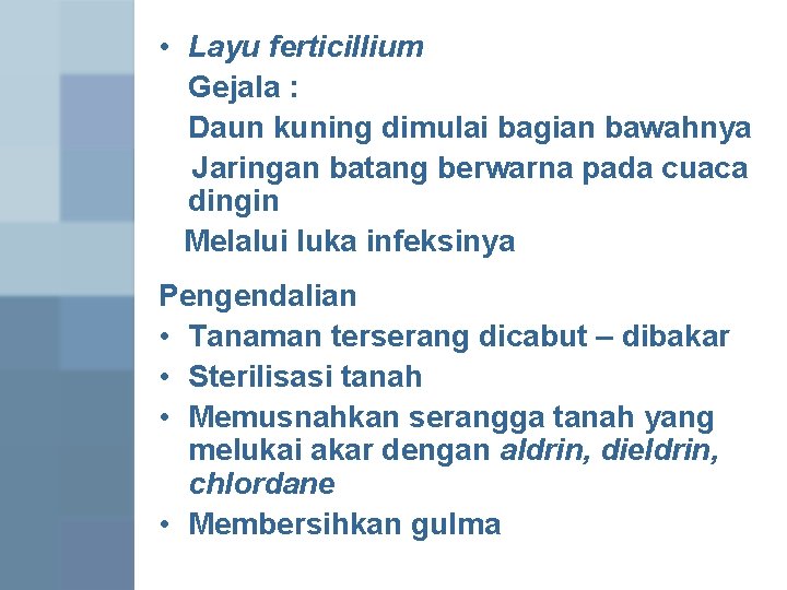  • Layu ferticillium Gejala : Daun kuning dimulai bagian bawahnya Jaringan batang berwarna