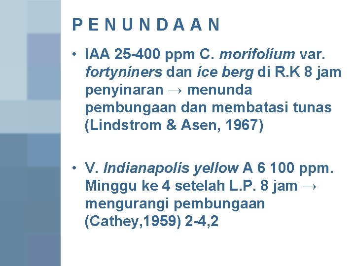 PENUNDAAN • IAA 25 -400 ppm C. morifolium var. fortyniners dan ice berg di